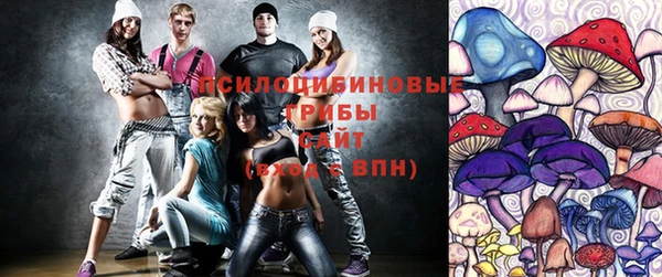 кокс Билибино