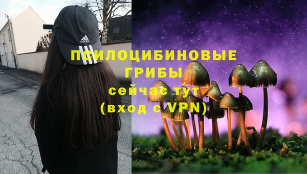 гидра Нея
