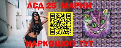 крисы Беслан
