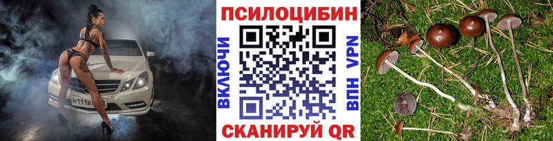 Галлюциногенные грибы Cubensis  нарко площадка состав  Железноводск 