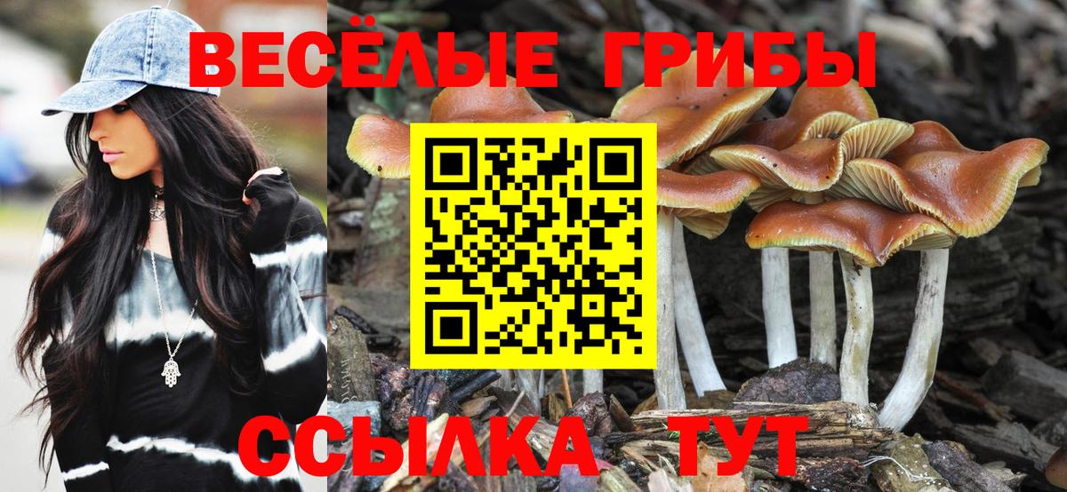 Галлюциногенные грибы Psilocybine cubensis Железноводск