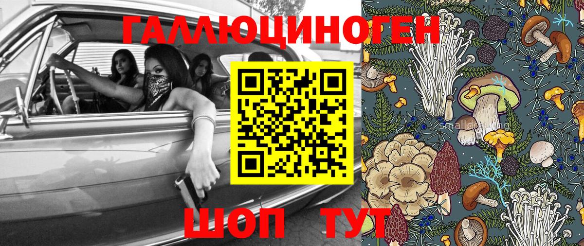 Галлюциногенные грибы Psilocybe  Галлюциногенные грибы мицелий  Железноводск 