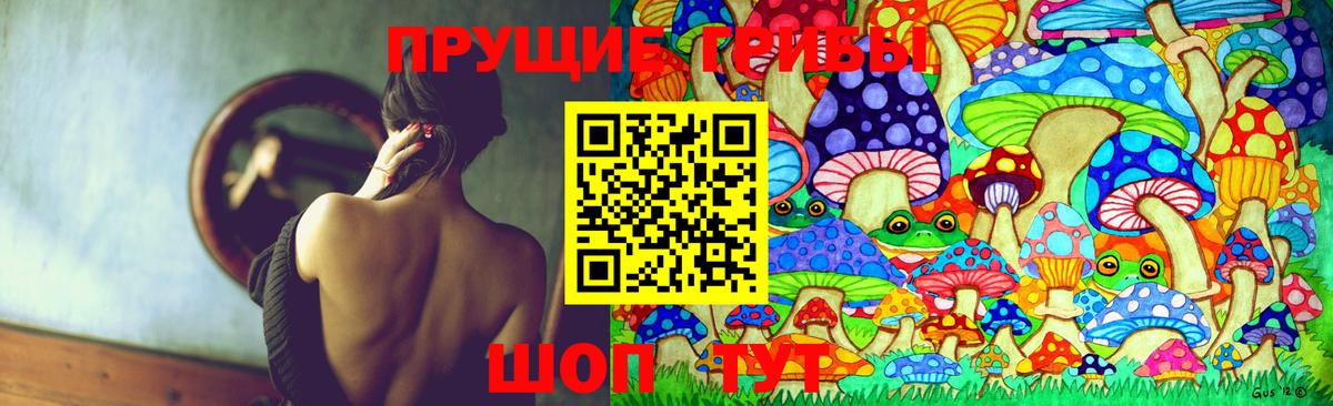Галлюциногенные грибы прущие грибы  Вход с VPN  Галлюциногенные грибы мухоморы  Железноводск 